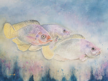 Load image into Gallery viewer, Three Fish - Signed Prints
