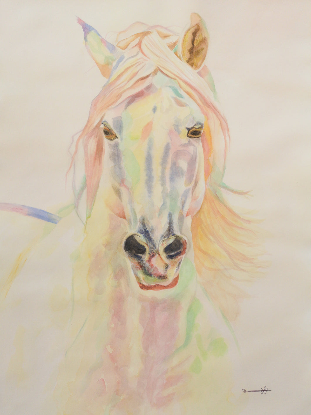 Horse IV - Signed Prints